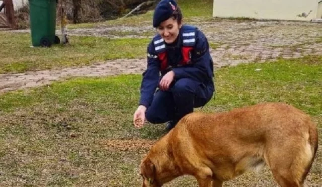 Jandarma-sokak-hayvanlarini-unutmadi.webp.webp.webp