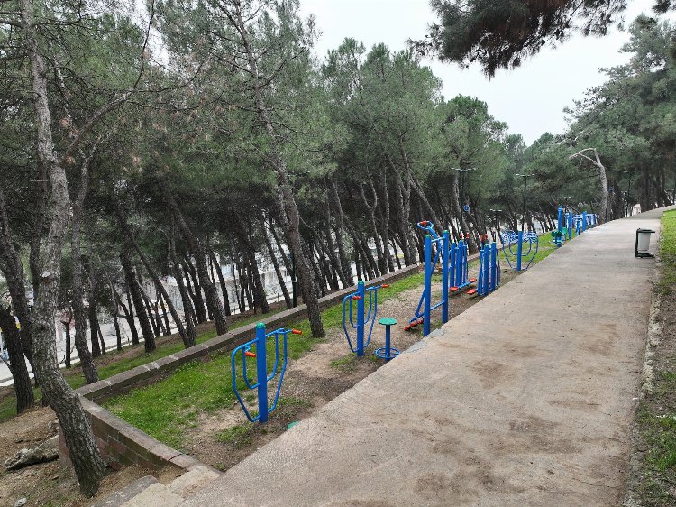 Bursa tekrar yeşile bezeniyor