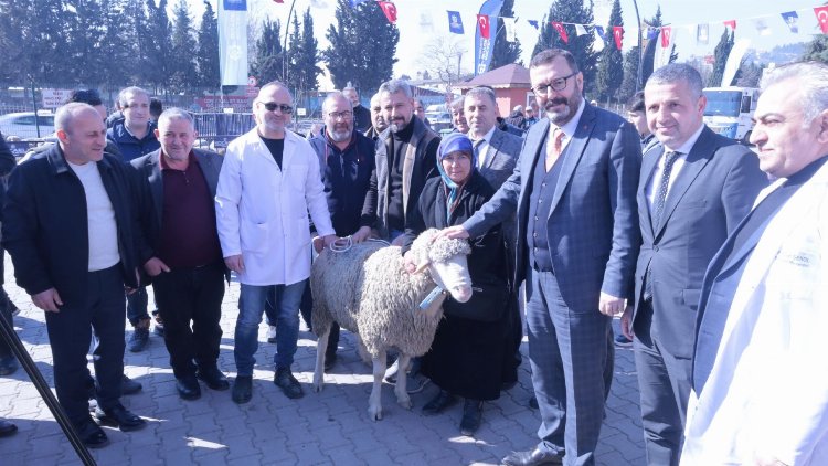 Kocaeli’den üreticiye koç ve teke desteği