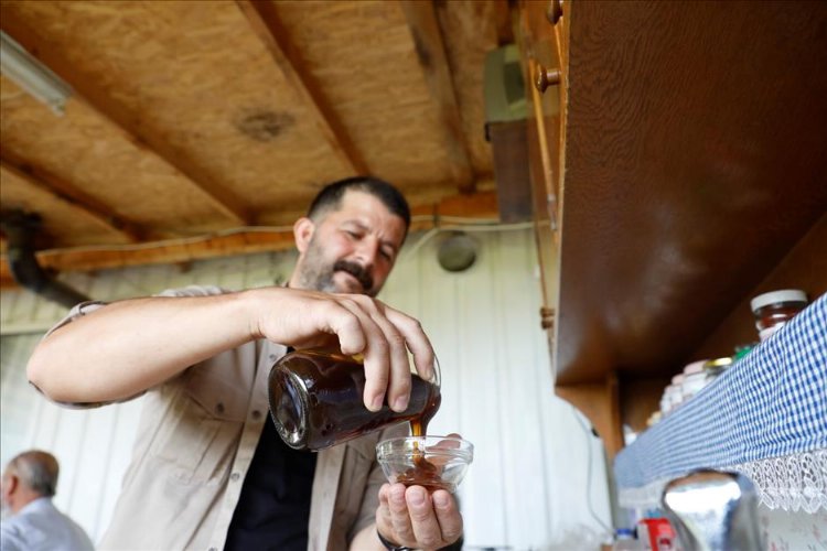 Bursa İnegöl arıcılık ve balda da marka olacak… Karaçalı’na coğrafi işaret alınacak