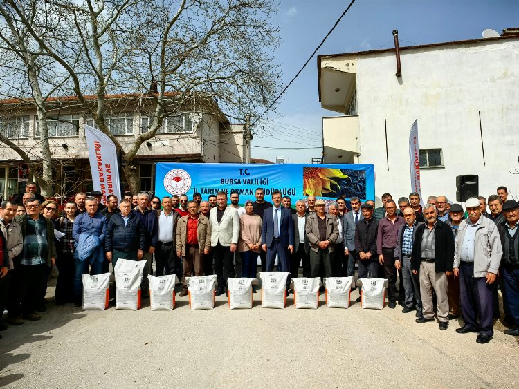 Bursa’da İrfaniyeli üreticilere ayçiçeği tohumu desteği