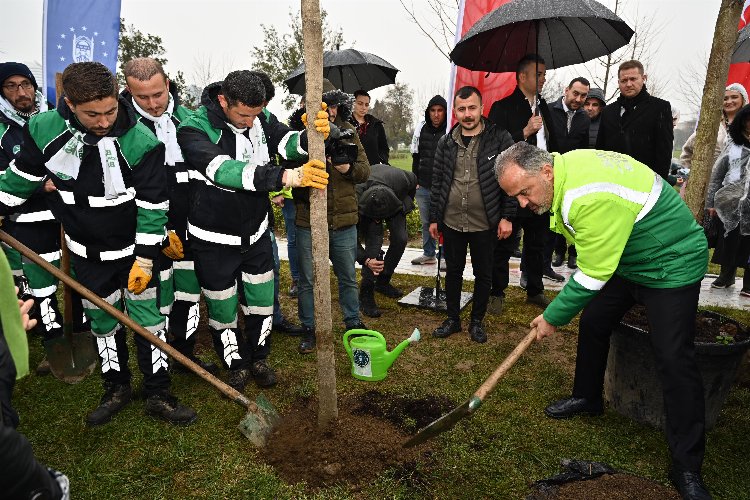 Bursa’da erguvan fidanları toprakla buluştu