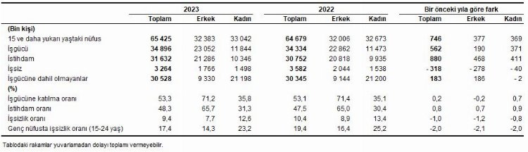 İşsizlik rakamları açıklandı… Van’da işsizlik, Tekirdağ’da istihdam var
