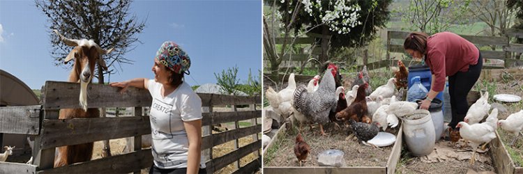 Kocaeli’den yüzde 75 hibeli tarım desteği