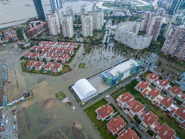 TEMA’dan 31 Mart öncesi ‘dirençli’ çağrı