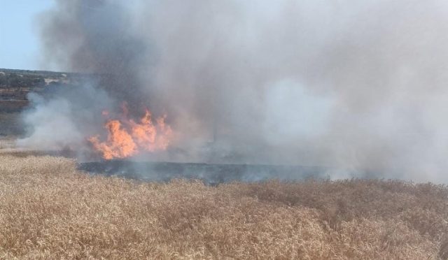 Enezde-bugday-tarlasinda-yangin.jpg