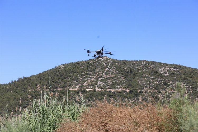 İzmir Efes Selçuk’ta Büyükşehir’den ilaçlama desteği