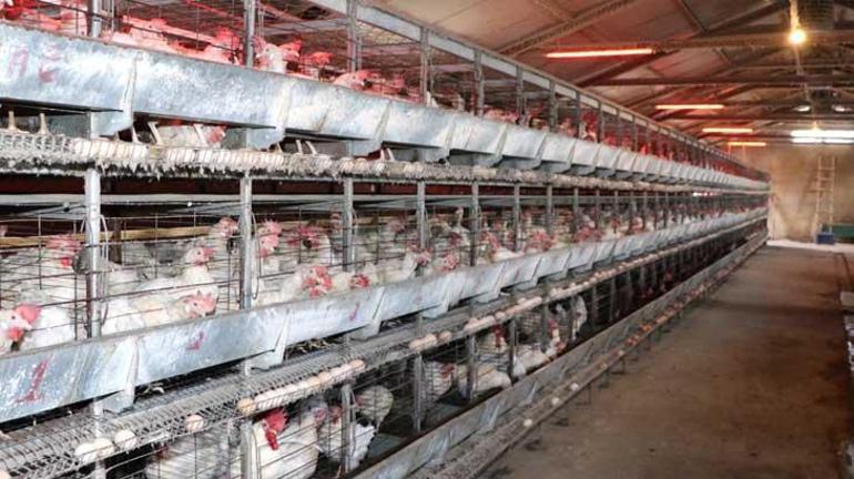 Çadırda üretime başladı! Ağır talebe yetişemiyor – Düzgün Haber