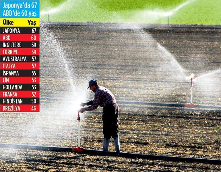Çiftçi yaş ortalaması yükseldi! Gençler tarımdan kaçıyor, çiftçiler yaşlanıyor; besin arz güvenliği tehlikede – Düzgün Haber